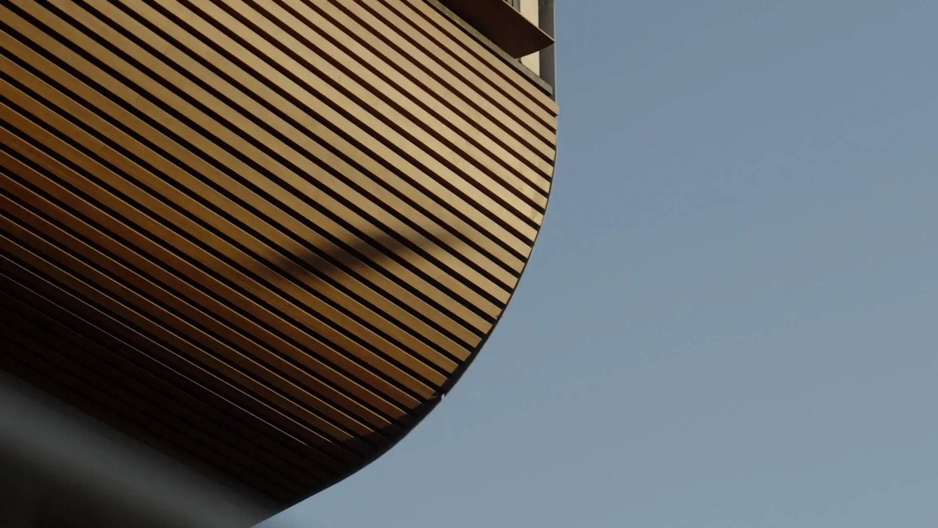 TLC+Mordialloc+Main+Edit+-+Full+Cut.mov.00_00_18_21.Still003