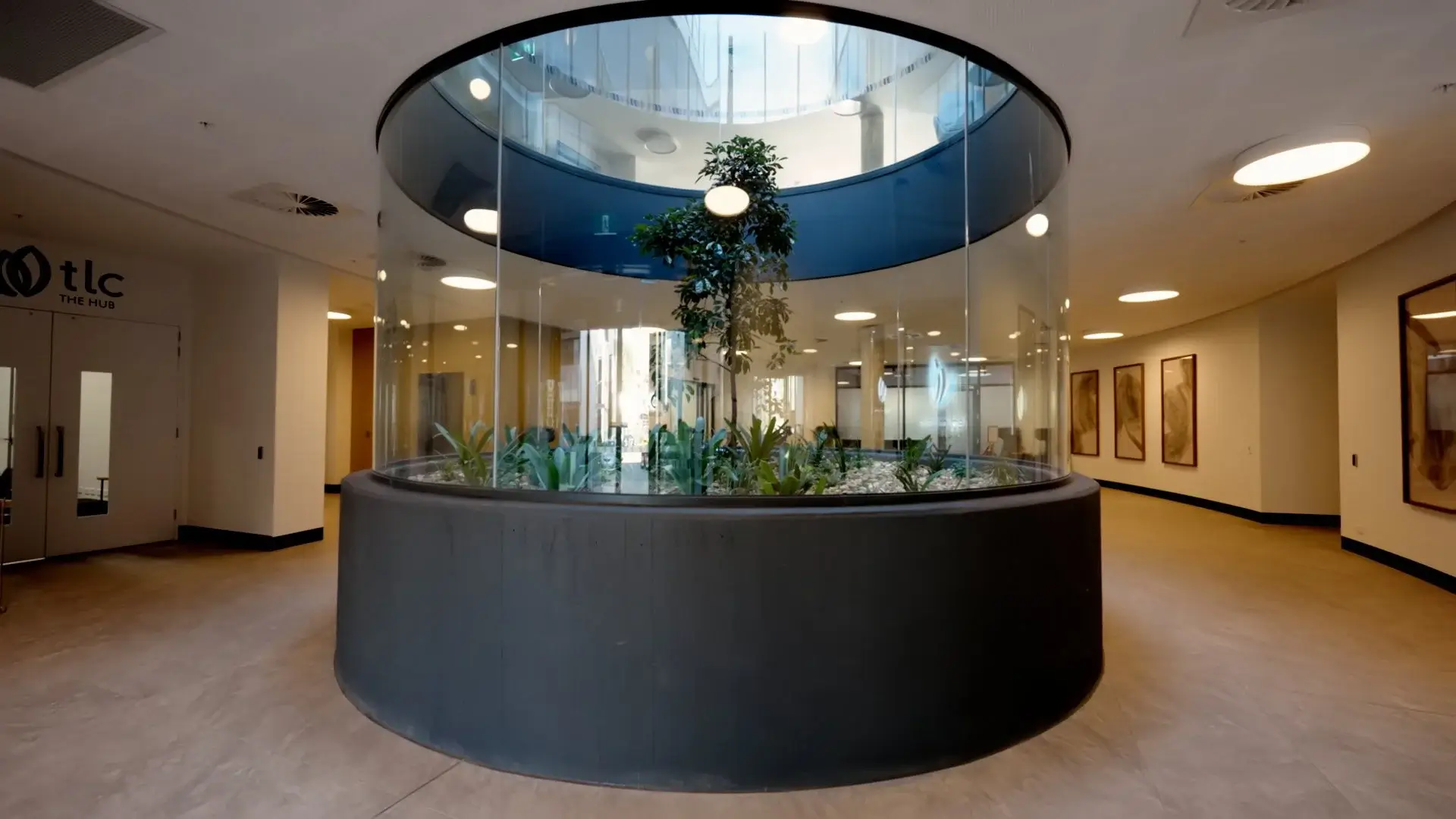 TLC+Mordialloc+Main+Edit+V10_soundlay.mov.00_00_40_08.Still003