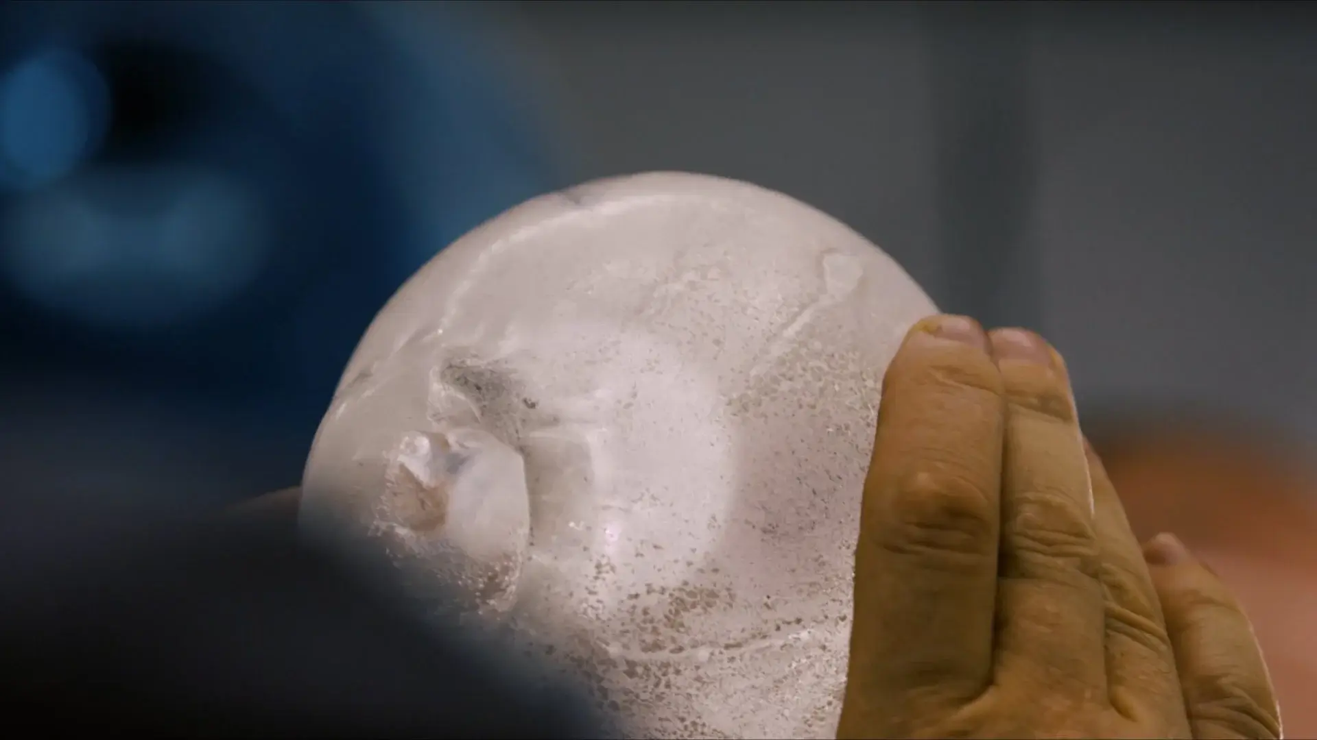 arbour_park_-_seed_by_mark_douglass+(Original)+(0-01-48-16)