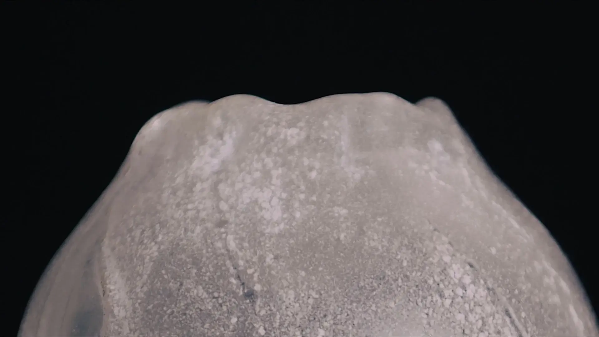 arbour_park_-_seed_by_mark_douglass+(Original)+(0-02-02-20)